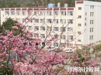 云南林业学校2023年怎么样、好不好