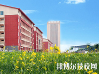 甘肃省医药学校2020年招生办联系电话