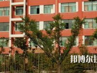 天水农业学校2020年招生录取分数线