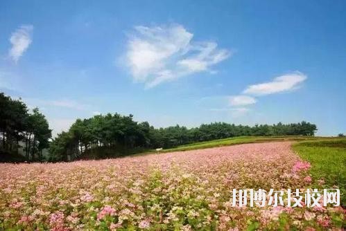 毕节七星关中等职业学校怎么样、好不好