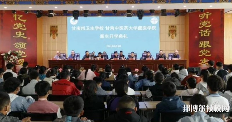 甘南藏族自治州卫生学校网站网址