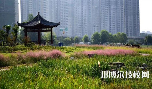 徐州生物工程职业技术学院中专部2022年学费、收费多少